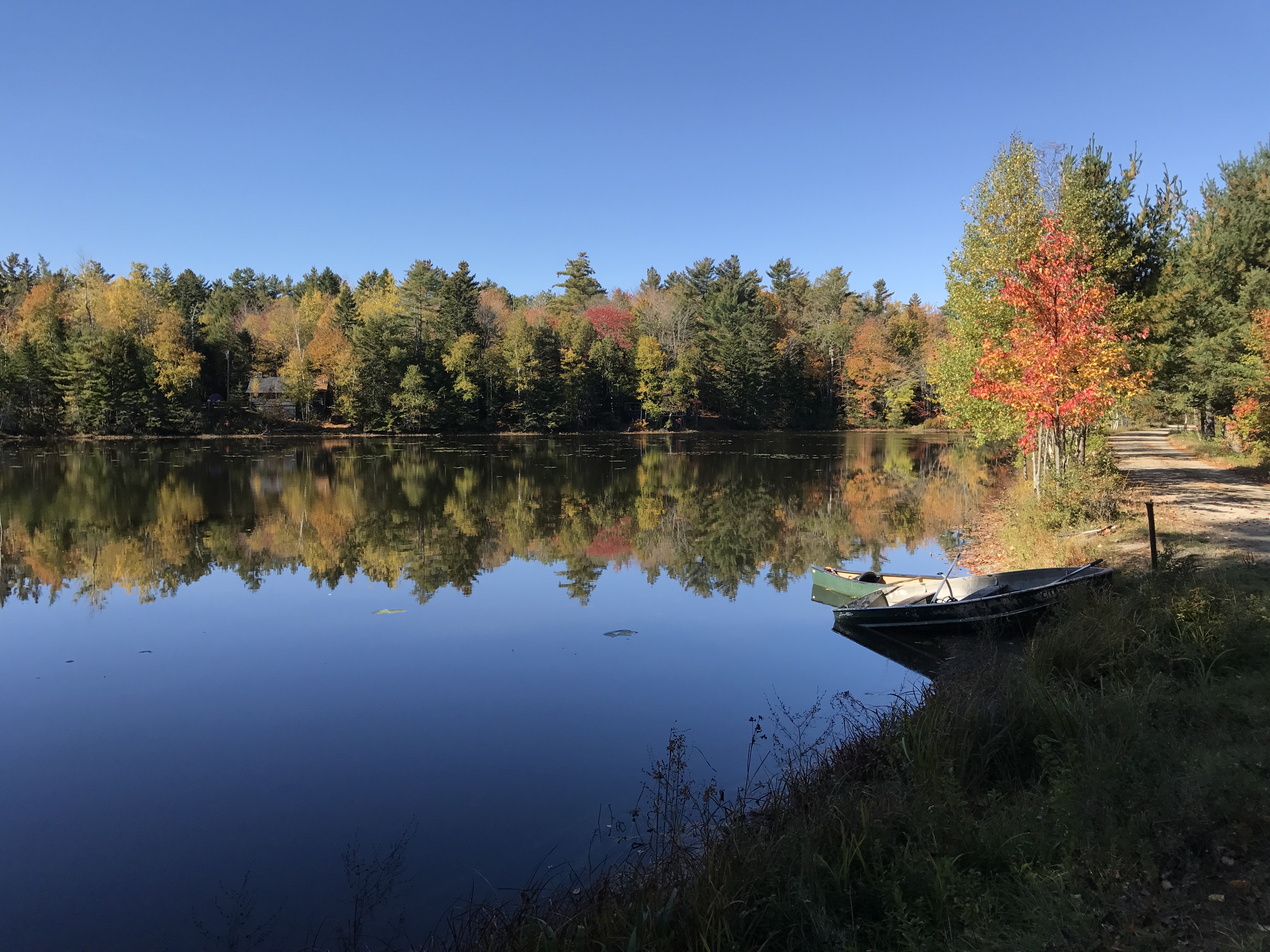 Robinson's pond