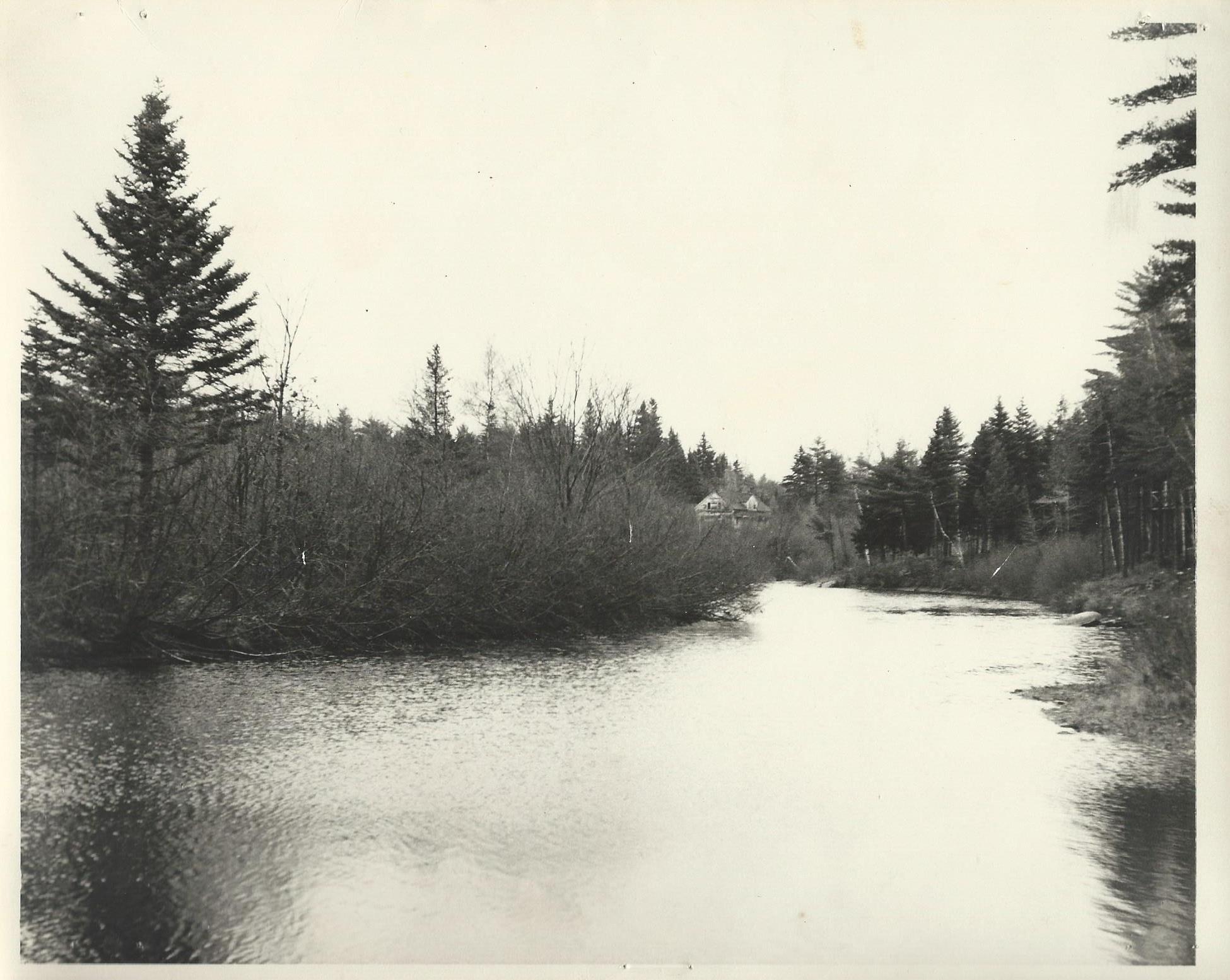 Dennys River downstream from the beach