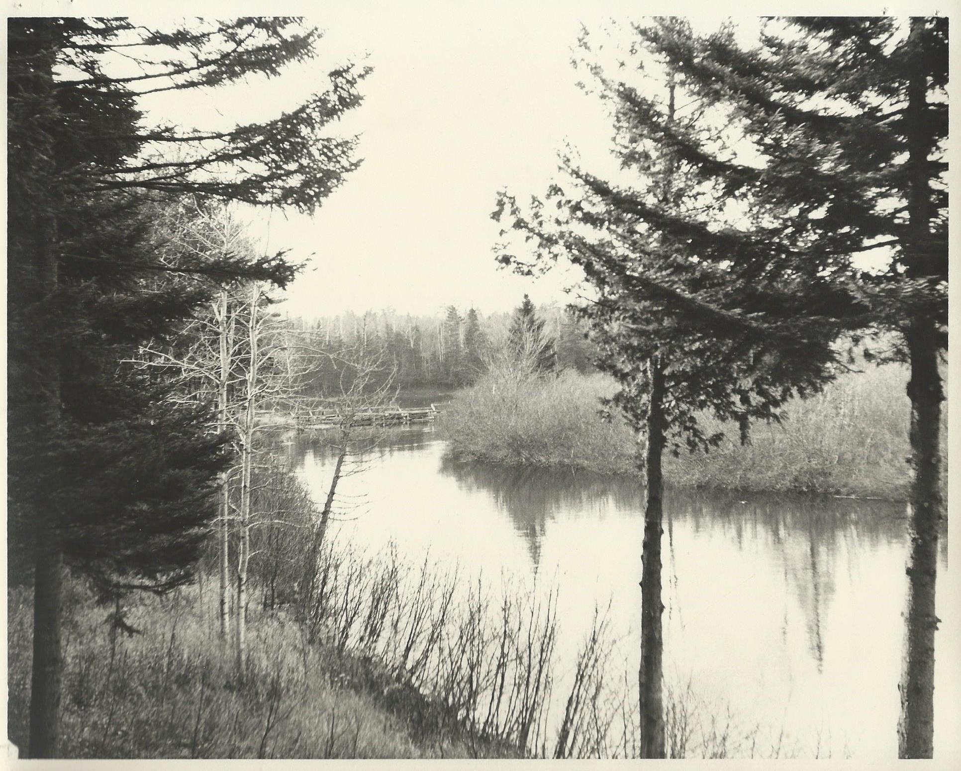 Dennys River upstream from cottage 6