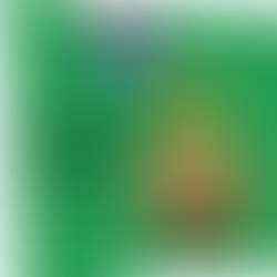 Photo of a crochet gallbladder
