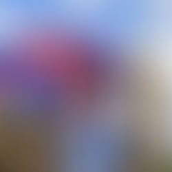 Requirements for Tier 2 Visa: Complete UK Skilled Worker Eligibility Guide