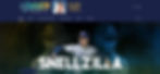 Blake Snell Personal Website Homepage (Snellzilla)