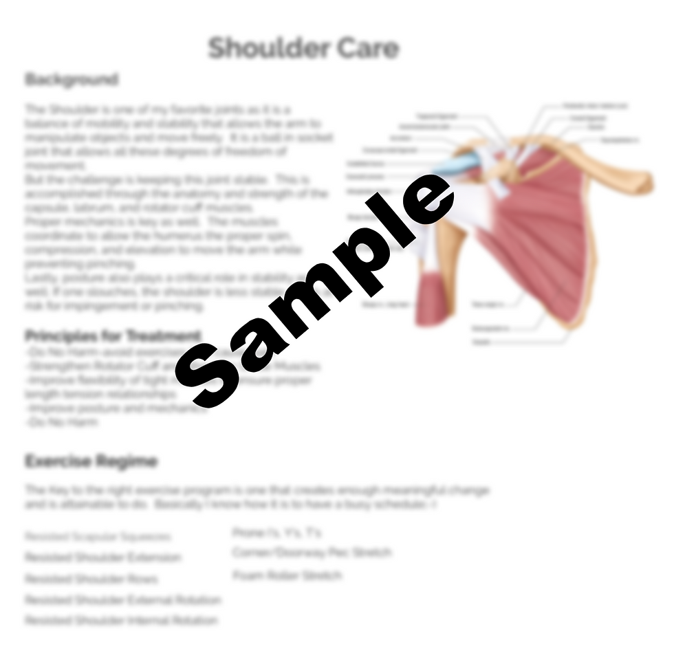 Thumbnail: Shoulder Care Kit III