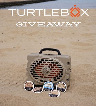 GIVEAWAY (1)_edited.png