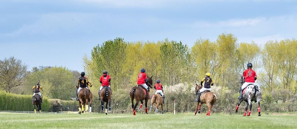 Play polo at Los Techos argentina.jpg
