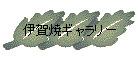 iga01.htm_cmp_cypress110_hbtn_a.gif