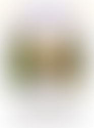 Yoga in the Park in June