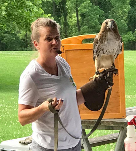 Sky Birds of Prey @ Pine Creek Park