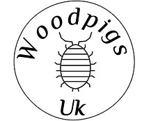 woodpig.jpeg