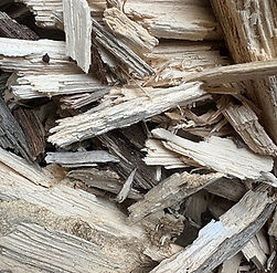 dry white rot wood.jpg