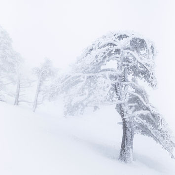 Auvergne, Massif Central, France