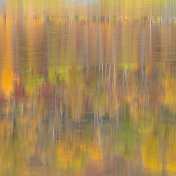 Autumnal reflection, Senja, Norway