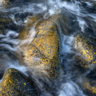 Lichen encrusted boulders covered by the high tide, Dunstanburgh
