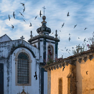 Swifts over a church in Óbidos, Portugal