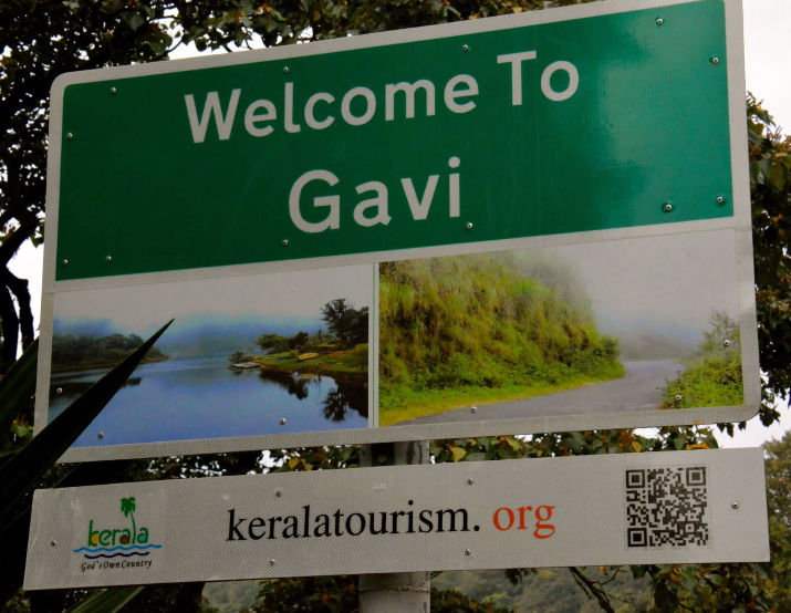 Gavi