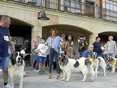 XVII TOPAKETA 15-10-2022 Alsasua (Navarra)