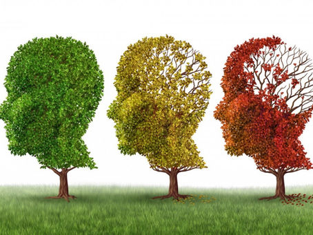 Alzheimer: a importância do cuidador no acompanhamento de doentes crônicos portadores de Alzheimer