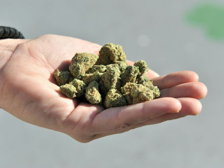 Alzheimer: Cannabis Medicinal tem se mostrado eficaz para cuidados paliativos da doença