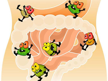 Alzheimer: intestino tem a ver com humor, demência, alzheimer, autismo e outras doenças
