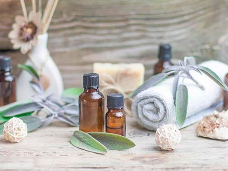 Menopausa: Sálvia - seu óleo essencial é medicinal. Saiba como e quando usar.