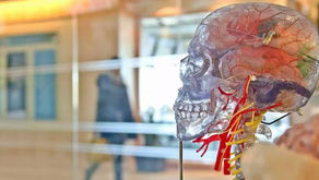 Alzheimer: Cientistas testam proteína sintética que repara danos no cérebro e na medula espinhal