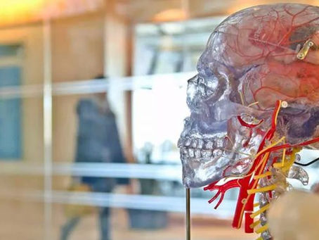 Alzheimer: Cientistas testam proteína sintética que repara danos no cérebro e na medula espinhal