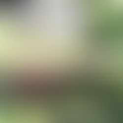 明けましておめでとうございます