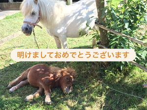 明けましておめでとうございます