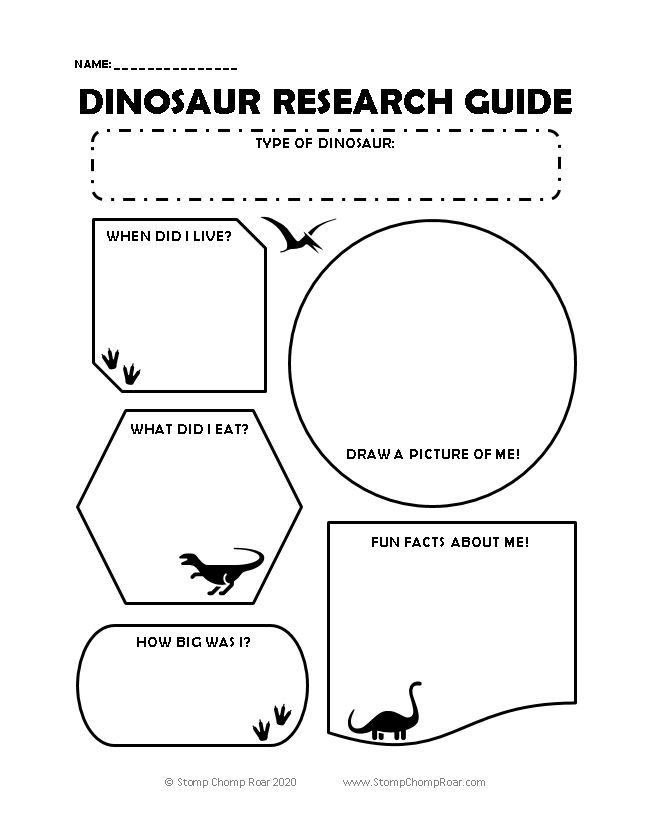 Dinosaur Research Guide