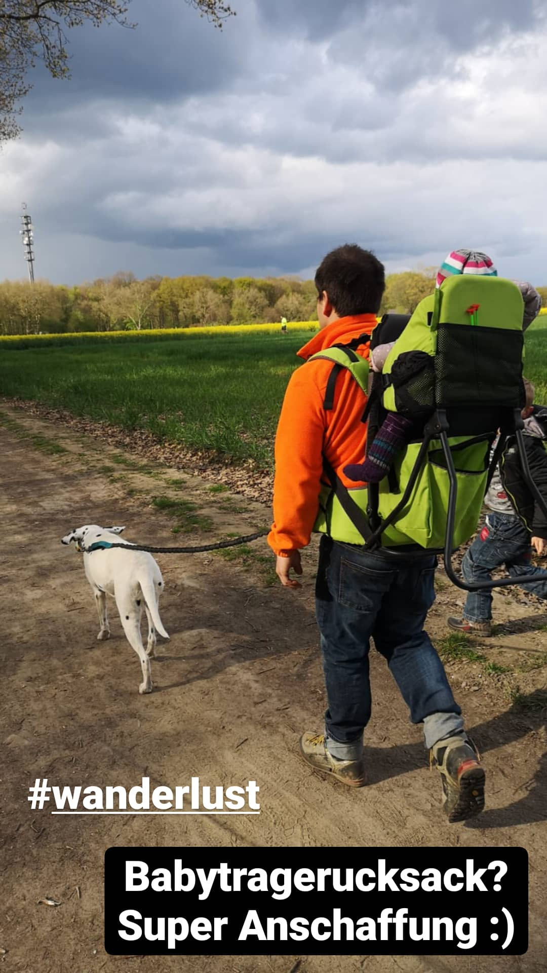Baby Wanderuckack mit 5 Punkt-gurt und allein-steh-Stütze