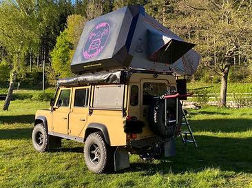 ALF1.0 auf Defender 110