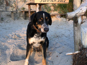 Schwimmen in Gedanken | 1.8.22