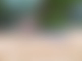 ALTA NOS CUSTOS DE PRODUÇÃO ACUMULAM 35,25% EM 12 MESES E PREOCUPA O SETOR