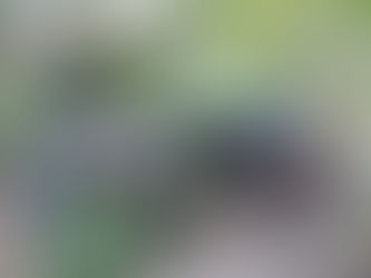 DECRAB realiza operação em Dom Feliciano contra investigado por furto de trator