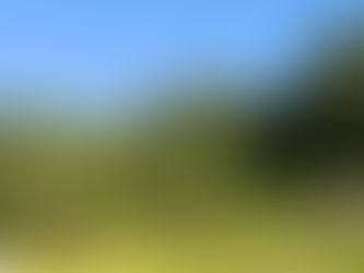 Farsul emite Nota Técnica sobre aplicação do Código Florestal ao Bioma Mata Atlântica