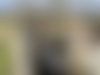 Prorrogado até 24 de abril o prazo para vacinação contra aftosa no Rio Grande do Sul