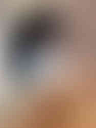 Mollie the Collie with her monthly subscription box from Arran Dog Bakery