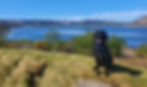 View of Lamlash from Viking Fort, Kings Cross, Isle of Arran