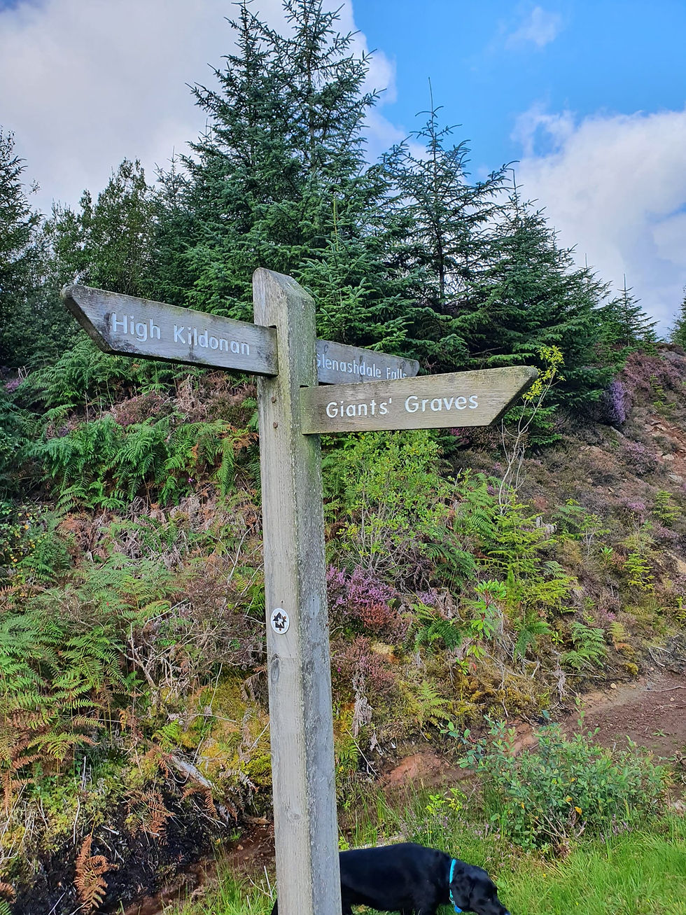 High Kildonan walk - Arran Dog Bakery team go for a walk