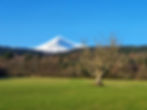 A view of Goatfell, Isle of Arran