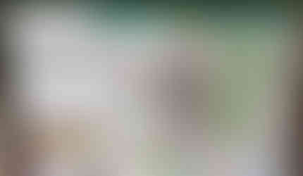 High Kildonan walk - Arran Dog Bakery team go for a walk