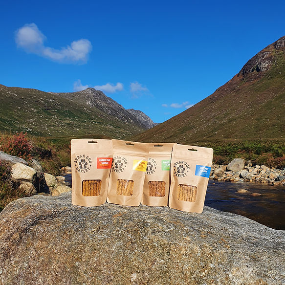 This picture shows the four flavours of Arran Dog Bakery Biscuits with Glen Rosa as a background. Carrot Cake Cookies, Popcorn Bites, Peanut Butter and Apple and Coconut Crunch