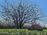 Ramco Framing & Design Gallery welcomes Shirley Long as one of its featured artists from August through September 2026.