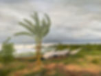 an oil painting of fishing boats by a Lake Victoria by artist Jan Lane