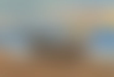 Chapin Town Hall Gallery Featured Artist - Jo Ann Lonesky - April through June 2026