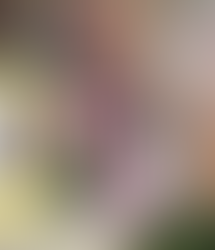 an oil painting of a Charleston street