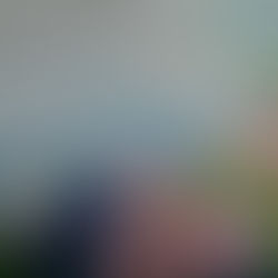 an acrylic painting of flowers by artist Linda Cannup