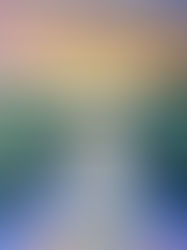 Blue Lavender Gallery - December 2024 - Sonya Diimmler