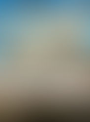 a pastel painting of the coast of South Carolina by artist, Debi Kelly