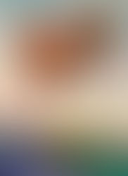 Coffee Shelf Artist Lisa Alberghini - April through June 2026